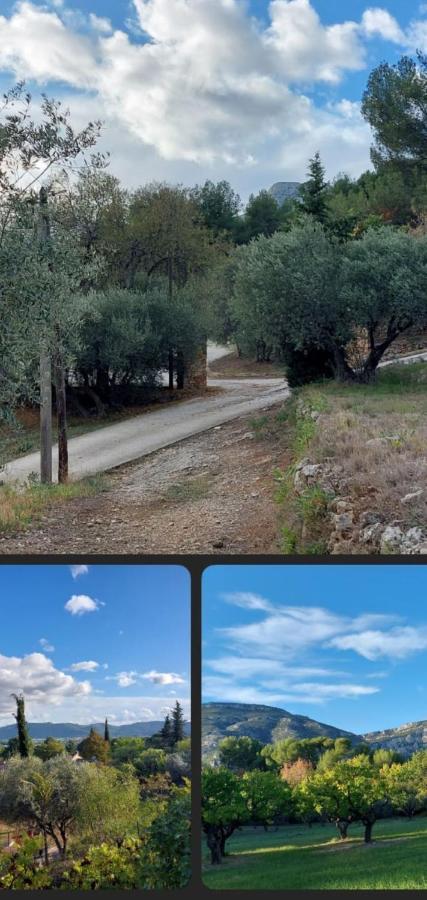 Mon Coin De Provence Petit-Dejeuner Offert Roquevaire Esterno foto